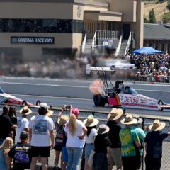 Gallery: DENSO NHRA Sonoma Nationals